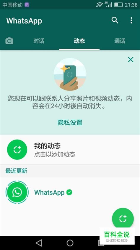 WhatsApp实用功能使用指南