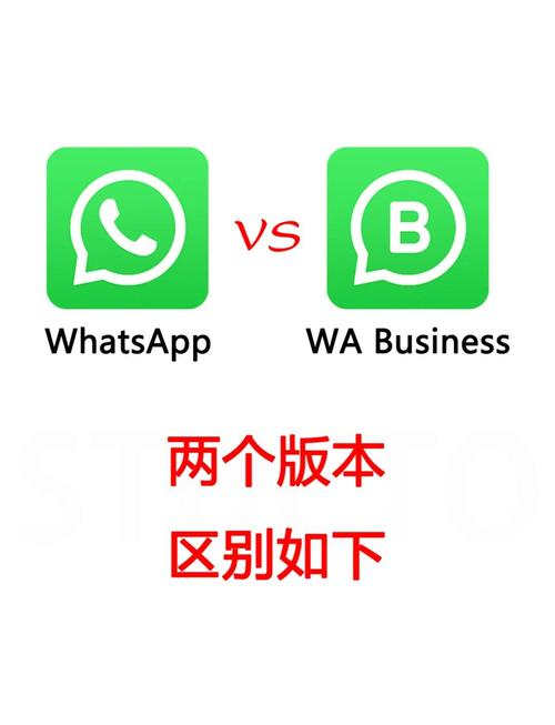 WhatsApp网页版 vs 桌面版