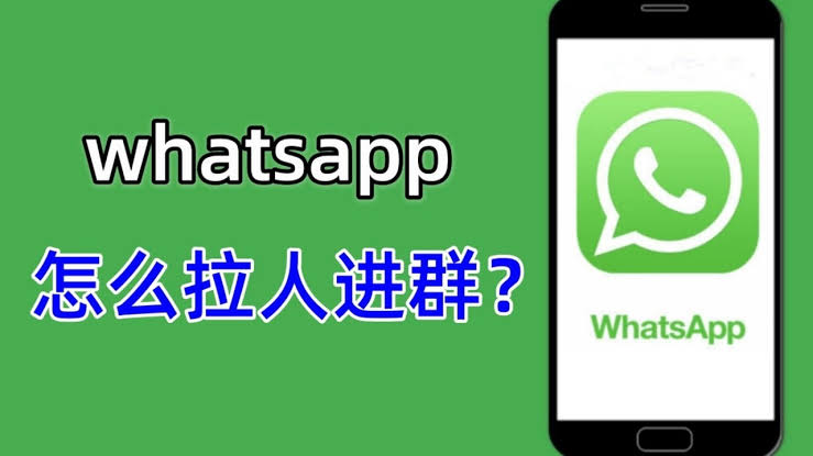 WhatsApp 建群拉不了人